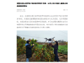 【湖南教育发布】湖南交通工程学院“地空协同喷洒”系统：AI无人机+机器人破解山地果园植保壁垒